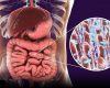 Maintaining a Healthy Gut Microbiome May Help You Fight COVID-19 & Other Infectious Diseases